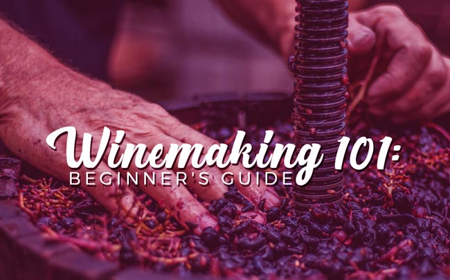 Wine Making 101