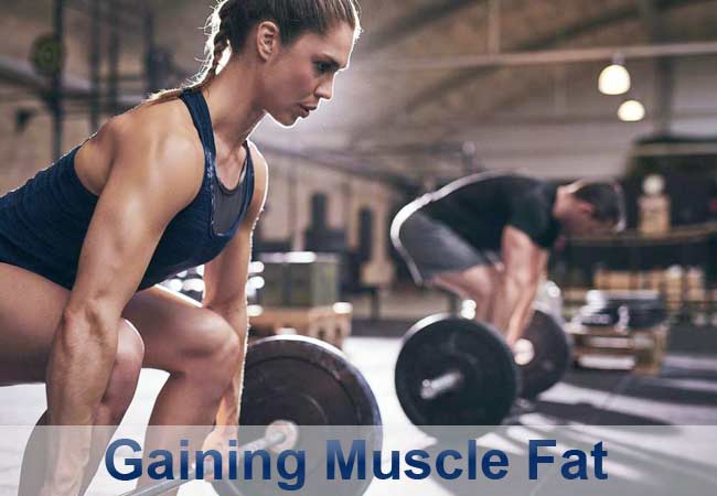 Gaining Muscle Fat