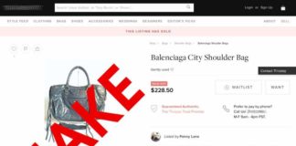 Identify Fake Shopping Sites