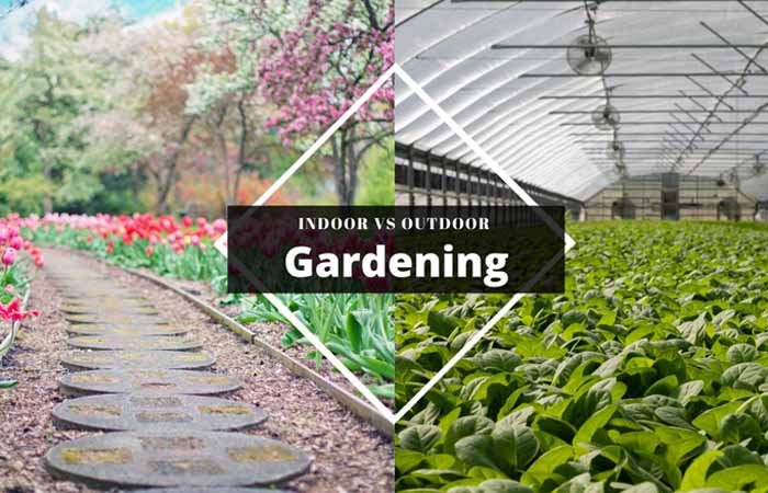 Benefits of Indoor Gardening