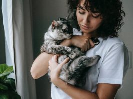 Cat Nutrition and Grooming Tips To Keep Your Feline Healthy